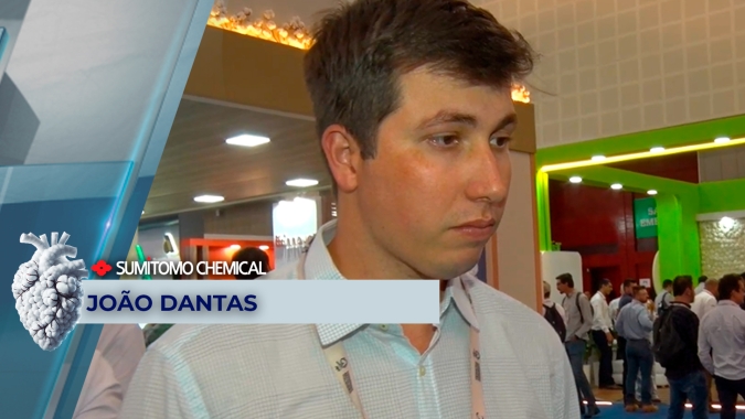 Planejamento da safra 2024/25 de algodão começa agora com estratégias visando o sistema de produção da fazenda