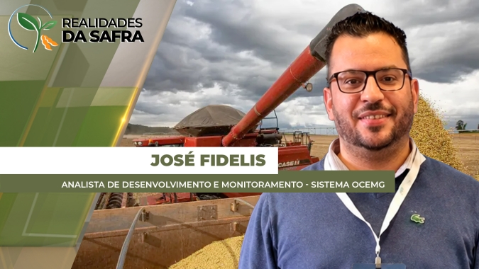 Com destaque para o café, grande parte do agro mineiro passa pelo sistema de cooperativas