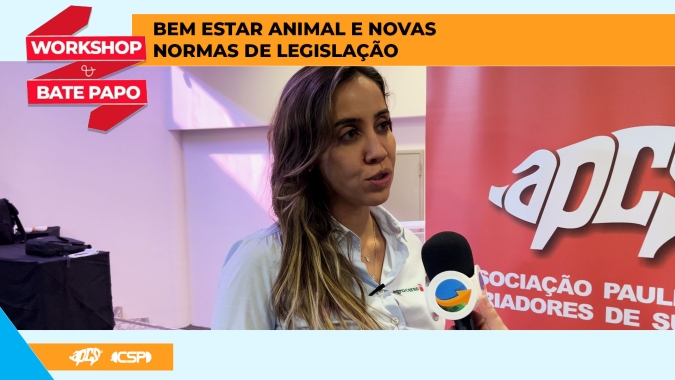 Mudanças nas boas práticas de bem-estar animal em granjas de suínos devem começar pelas mais simples e que tragam retorno financeiro, diz especialista