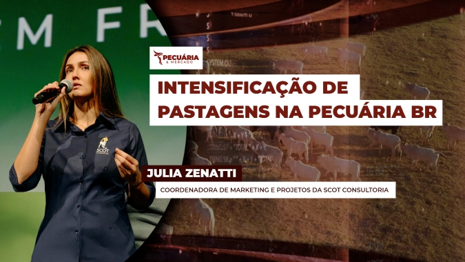 Intensificação de pastagens como tendência da pecuária brasileira para aumentar eficiência e resultados na produção