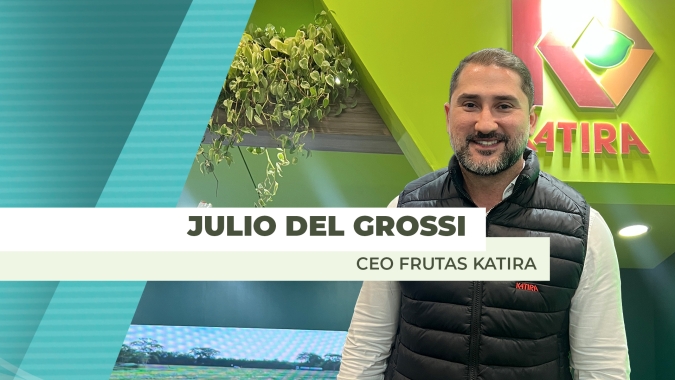 Produtor de limão se prepara para iniciar exportações em 2026