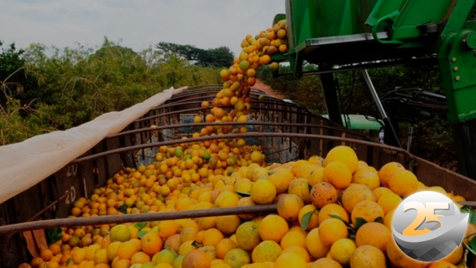 Onda de frio também impulsiona mercado de suco de laranja e cotações atingiram máxima de 5 anos na Bolsa de Nova York
