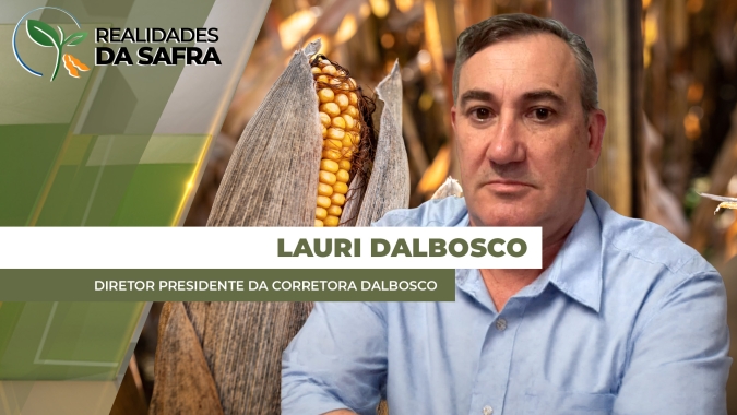 Chuvas chegam a Chapadão do Sul/MS e aliviam safrinha de milho, mas preocupação está agora com a lagarta-do-cartucho