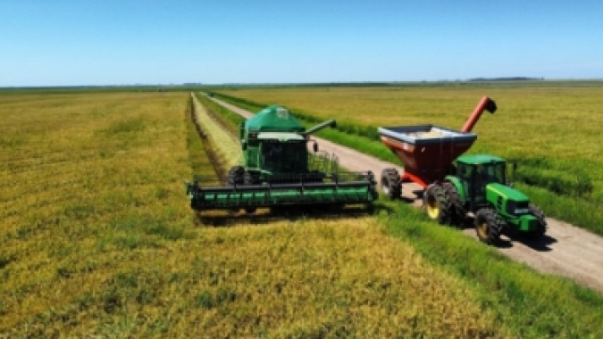 Preparo antecipado do solo ganha peso na safra de arroz 2026/27 sob El Niño