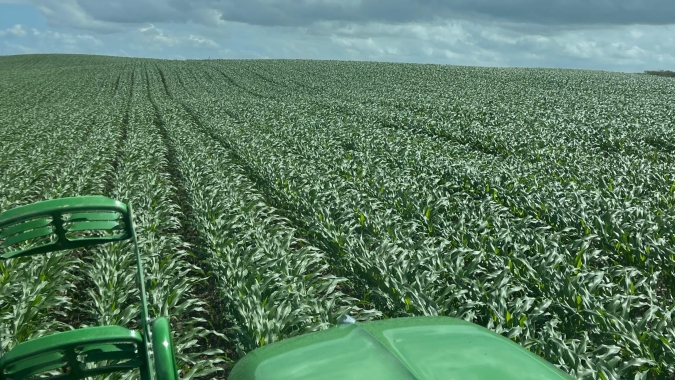 SEALBA: Mudanças que encarecem o Proagro devem inviabilizar produção agrícola na região
