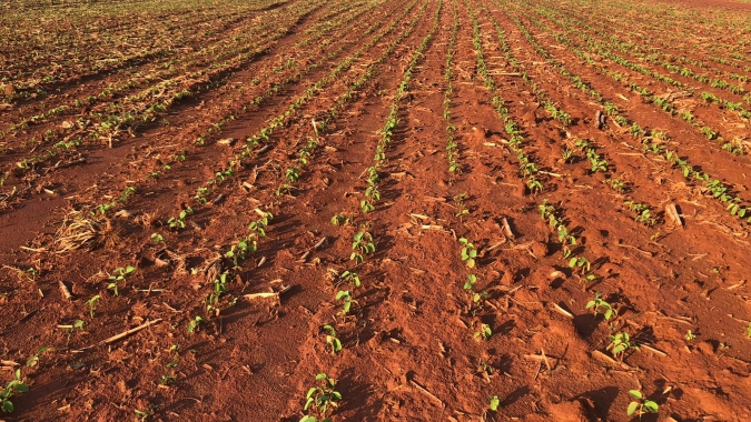 Perdas na safra de verão preocupam entidades do agro