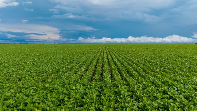 SLC Agrícola buscará mitigar riscos na safra 2026/27 com El Niño e custos altos de adubo