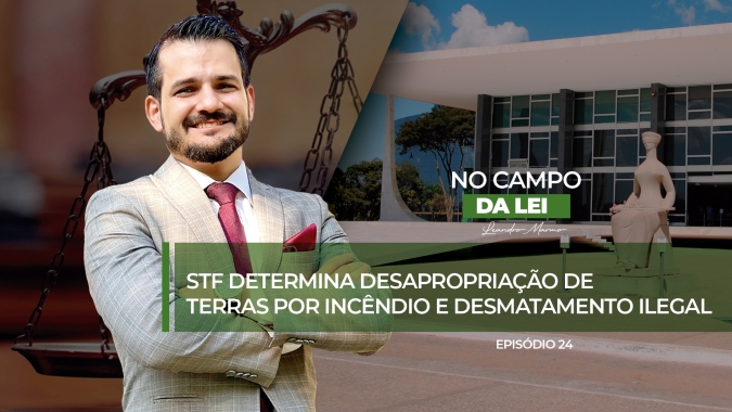 STF determina desapropriação de terras por incêndio e desmatamento ilegal