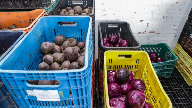 Pequenos agricultores recebem certificados de produtores orgânicos no Paraná