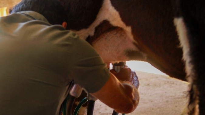 Goiás: Inscrições para o PAA Leite são prorrogadas