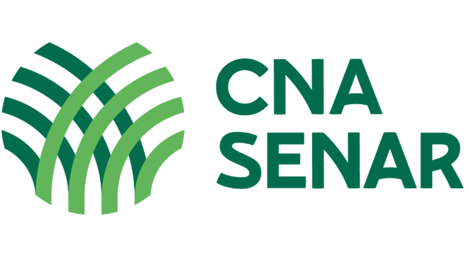 Faculdade CNA abre inscrições para o vestibular