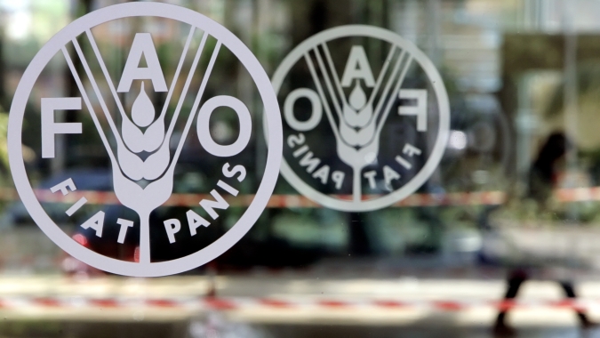 Preços dos alimentos no mundo caem pelo segundo mês em julho, diz FAO