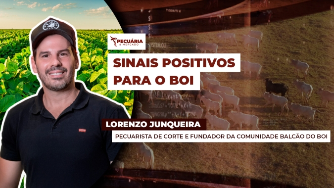 Movimento de recuperação nos preços da arroba ganha força na B3 e começa a ser registrado também no mercado físico