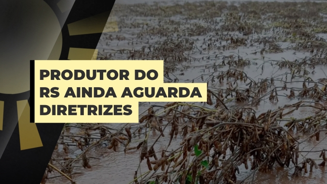 No RS, produtor aguarda resolução do CMN para acessar recursos e começar nova safra de grãos
