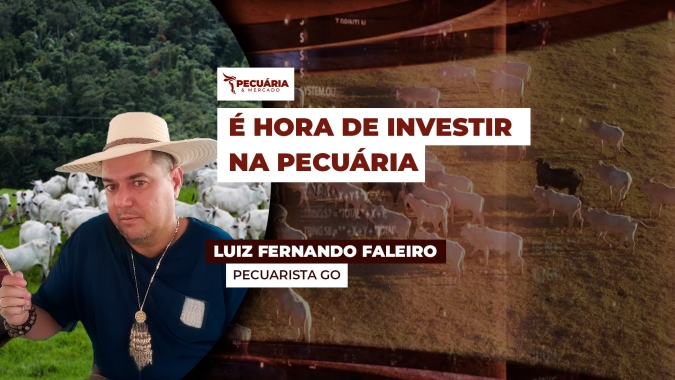 Para pecuarista de Goiás, cenário favorável para arroba justifica investimentos visando 2026