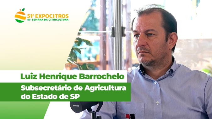 Com investimento de mais de R$ 3 milhões, Governo de SP intensifica combate ao greening