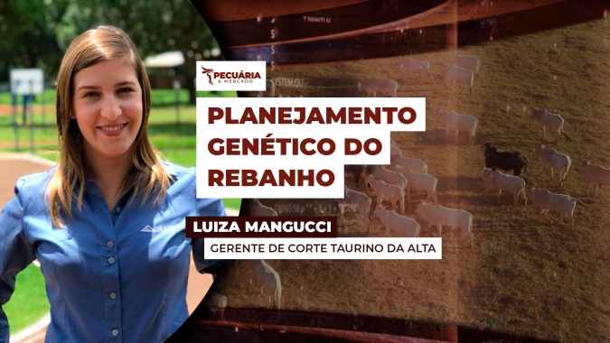 Aprimoramento genético do rebanho começa com uma coleta eficiente de dados