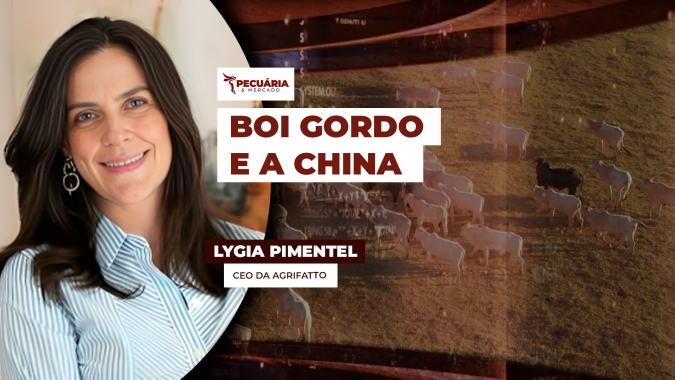 Fim das cotas de exportação e casos de aftosa na China  são fatores de incertezas para preços da arroba
