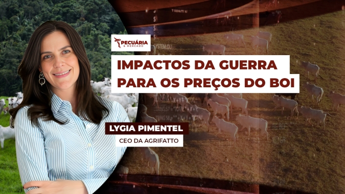 Aumento da tensão no Oriente Médio precisa estar no foco dos pecuaristas por possível interrupção no fluxo de navios