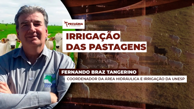 Especialista dá dicas para instalar o sistema de irrigação de acordo com a necessidade e o tamanho da pecuária