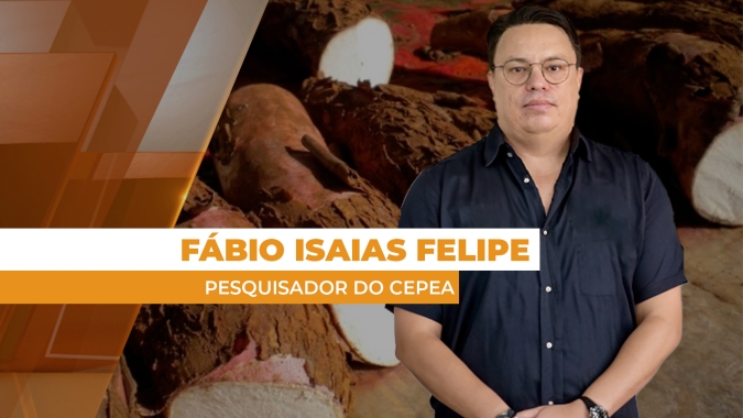 Clima seco está afetando a colheita e comercialização da mandioca em algumas regiões do Brasil