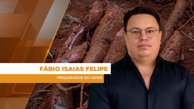 Cenário de comercialização da mandioca se inverte e oferta restrita estimula preços