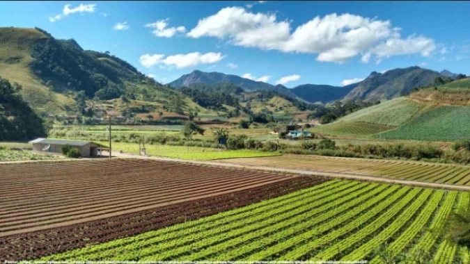 Manejo Ecossistêmico de Propriedades Agrícolas