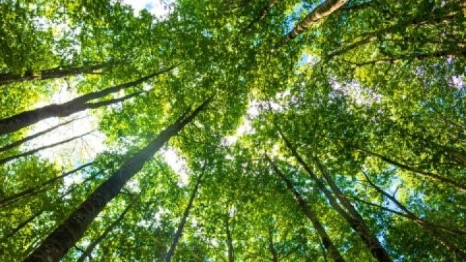 Na Suíça, Mapa reforça diálogo sobre práticas sustentáveis adotadas pelo agro brasileiro