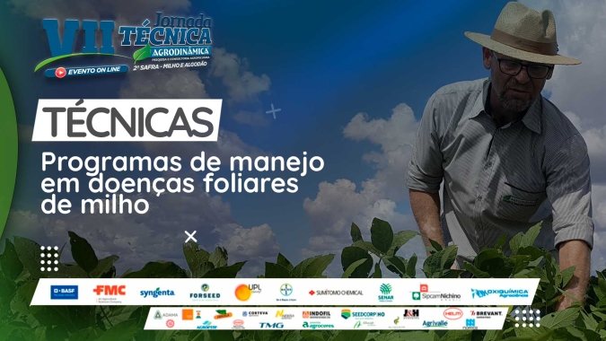Programas de manejo em doenças foliares do milho