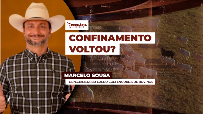 Confinamento reacende interesse dos pecuaristas neste ano?