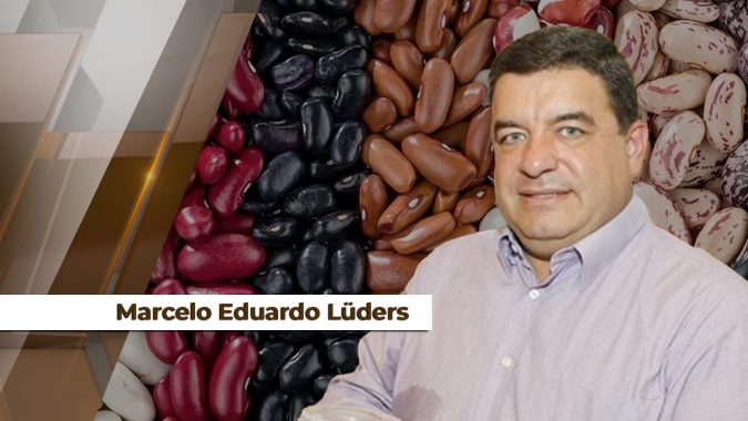 Preços do feijão carioca reagem trinta dias antes do esperado o que indica oferta limitada do produto