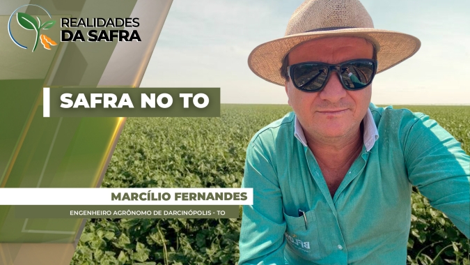 Segunda safra no Tocantins passa por desafio de irregularidades nas chuvas
