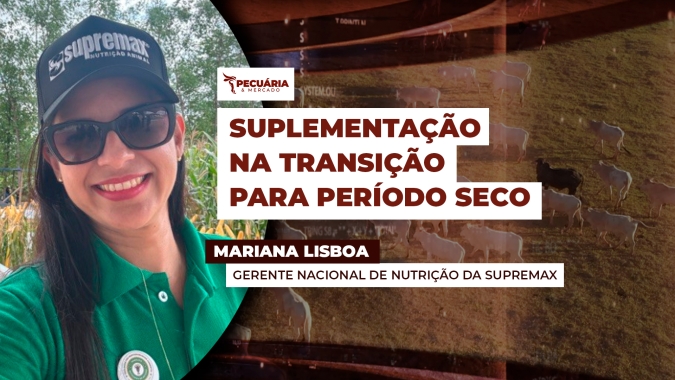 Suplementação estratégica ajuda a manter o desempenho dos animais com perda da qualidade das pastagens