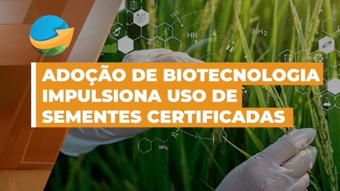 Adoção da biotecnologia impulsiona uso de sementes certificadas e amplia oferta de cultivares no Brasil
