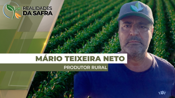 Última chuva em Itambaracá/PR foi antes do Natal e soja começa a sentir efeitos negativos