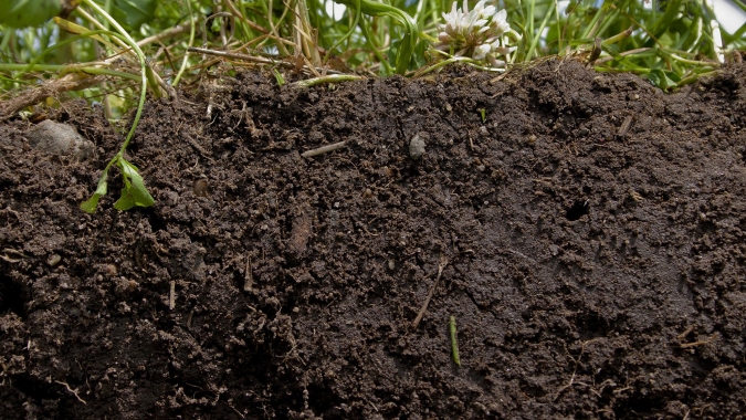Patente inédita desenvolvida no Brasil cria fertilizante inteligente com potencial para regenerar solos e reduzir emissões no campo