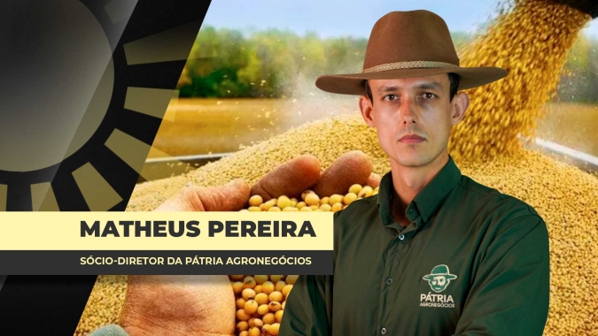 Prêmios da soja no Brasil têm sido o fiel da balança na formação dos preços no mercado interno