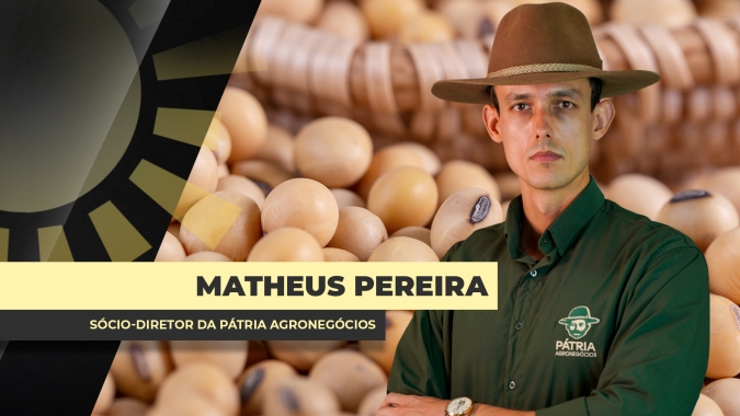 Enquanto Chicago tem altas contínuas, soja ainda gera margens ajustadas no BR