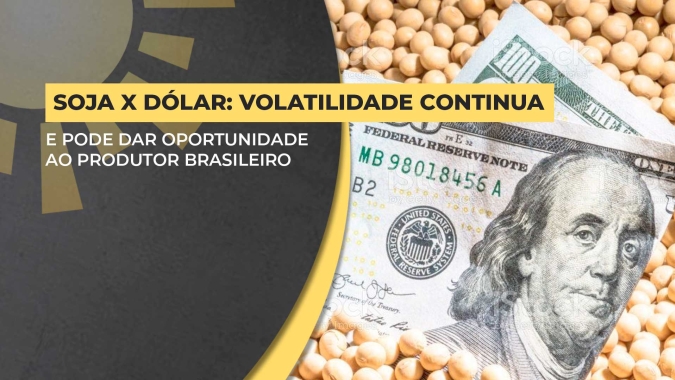Soja X Dólar: Volatilidade do câmbio continua intensa e pode dar oportunidade ao produtor brasileiro