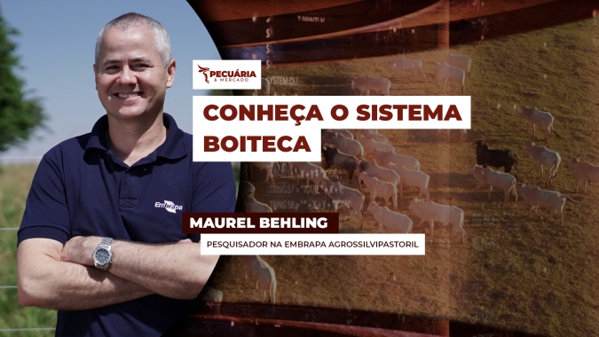 Modelo de produção em ILPF que utiliza a espécie de árvore Teca muito procurada para exportação da madeira