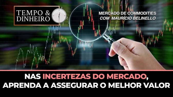 Nas incertezas do mercado,aprenda a assegurar o melhor valor