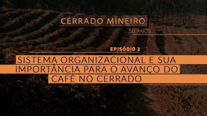 CERRADO MINEIRO 50 ANOS - EP 2: Sistema Organizacional e sua importância para o avanço do café