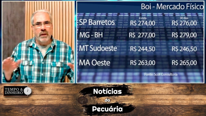 Boi gordo joga todas as cartas em uma possível alta em dezembro
