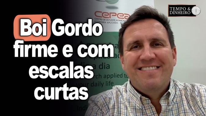Boi gordo firme e com escalas curtas informa Tiago Bernardino , do CEPEA