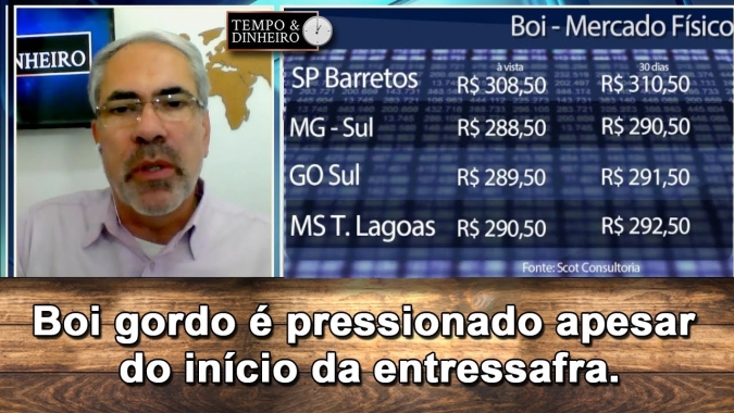 Boi gordo é pressionado apesar do início da entressafra