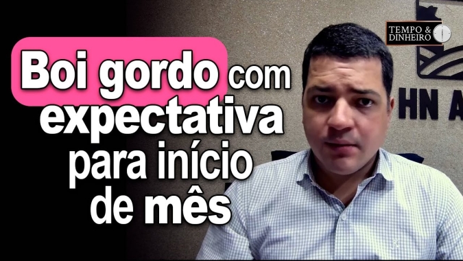 Boi gordo com expectativa para início de mês, de olho nas escalas mais enxutas e preços firmes