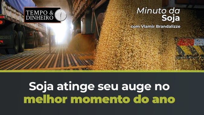 Soja no melhor momento do Ano