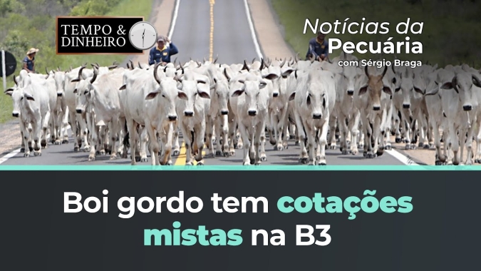 Boi gordo tem cotações mistas na B3 e mercado físico ainda sem direção