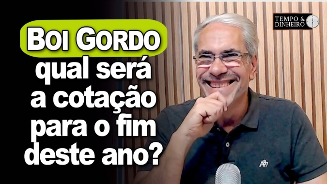 Boi gordo tem mais um dia de alta. Vai chegar aos R$300 até o fim do ano?