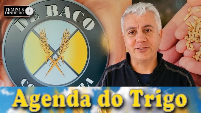 Safra andando no PR e aqui as lavouras prometem...
